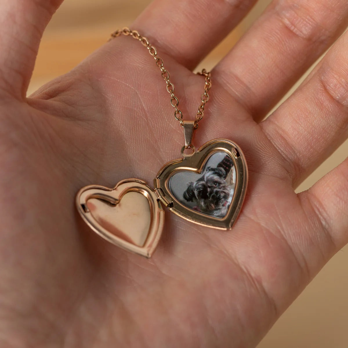 Hidden Memory heart Necklace